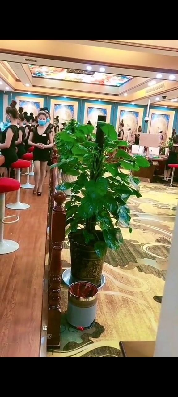 游戏服务项目与支持范围
